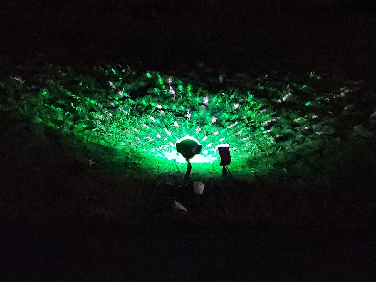 Photofail: kaleidoscopic spray